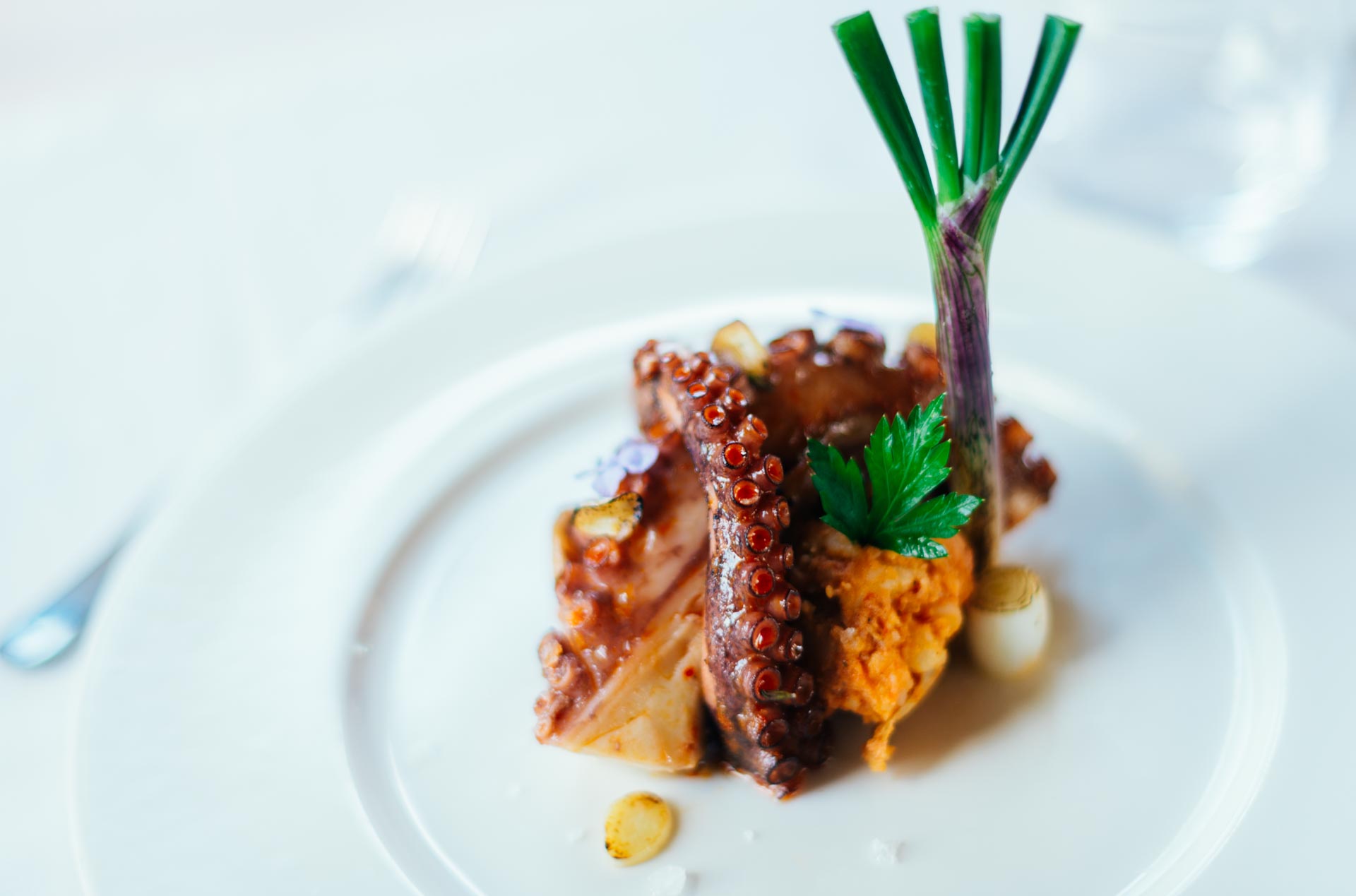 fotografia gastronómica en tenerife