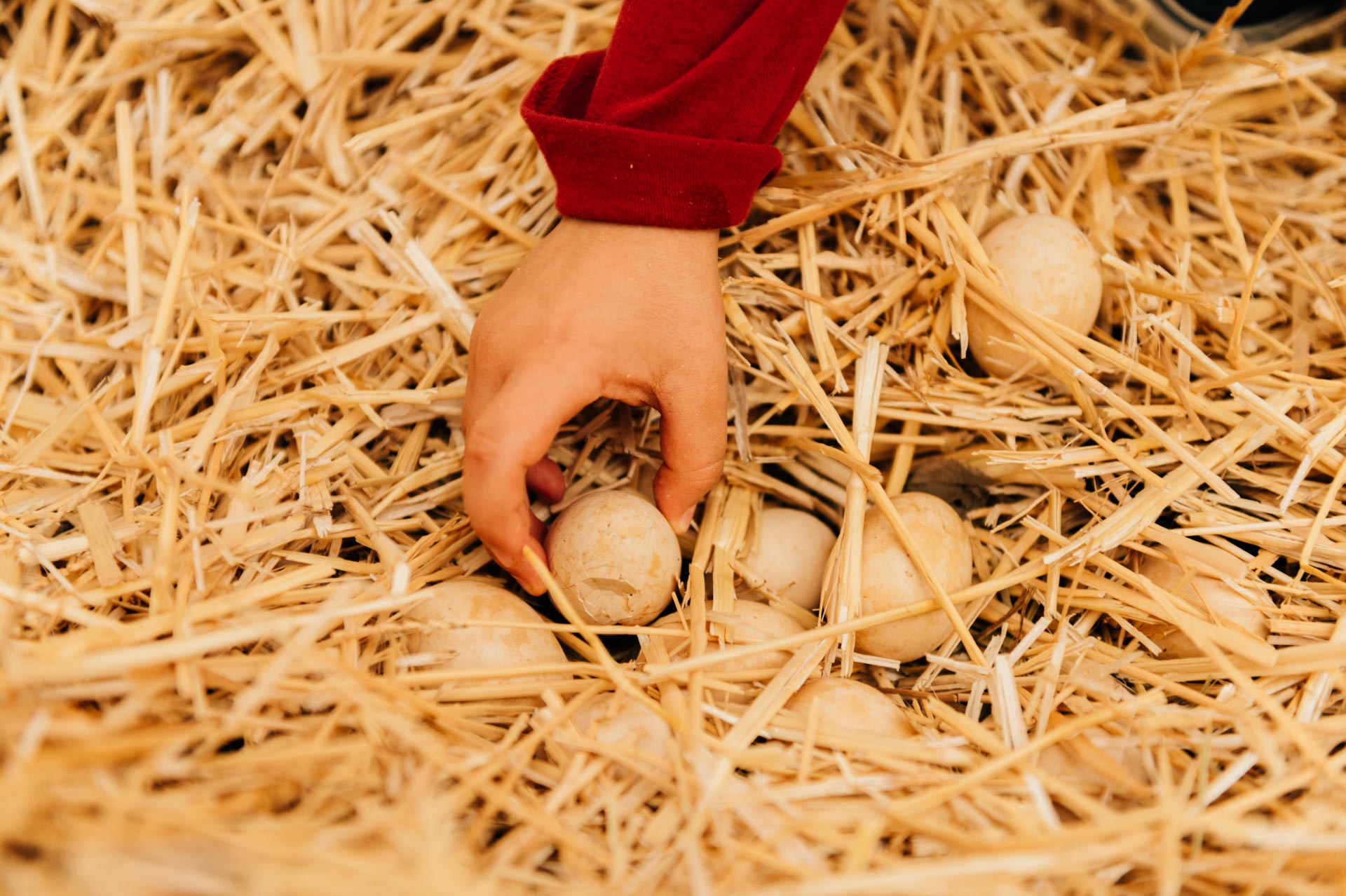 fotografia gastronómica en tenerife